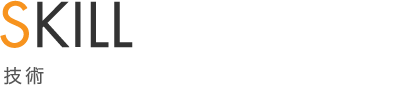 SKILL 技術